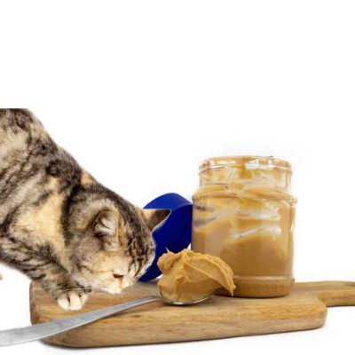 گربه ها می توانند کره بادام زمینی بخورند